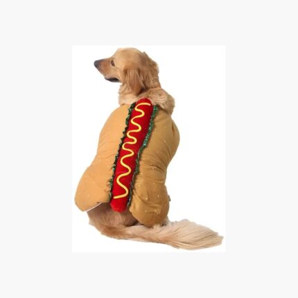 Disfraz perro halloween hotdog cosplay gato portada