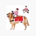 Disfraz Perro Halloween Jinete Cosplay Gato Mascotas Fiesta