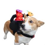 Disfraz Perro Halloween Jinete S/cabeza Cosplay