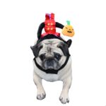 Disfraz Perro Halloween Jinete S/cabeza Cosplay