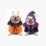 Disfraz Perro Happy Halloween Calabaza Fantasma Mascota Gato
