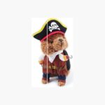 Disfraz Pirata Perro Raza Mediana Grande Halloween Tallas