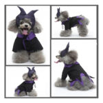 Disfraz Premium De Maléfica / Bruja Oscura Para Perro