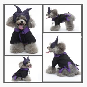 Disfraz Premium De Maléfica / Bruja Oscura Para Perro